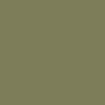 2X Ultra Cover Satin Oregano Spray Paint – 12 oz - Image 11