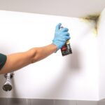 Mold Blocking White Water-Based Alkyd Spray Primer 13 oz - Image 5