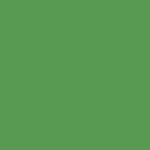 2X Ultra Cover Satin Leafy Green Spray Paint – 12 oz - Image 11