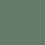 2X Ultra Cover Satin Nutmeg Spray Paint – 12 oz - Image 11