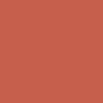 2X Ultra Cover Satin Cinnamon Spray Paint – 12 oz - Image 11