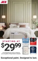 Royal Solid Deck Stain – Flat Neutral Base – 1 Gallon - Image 5