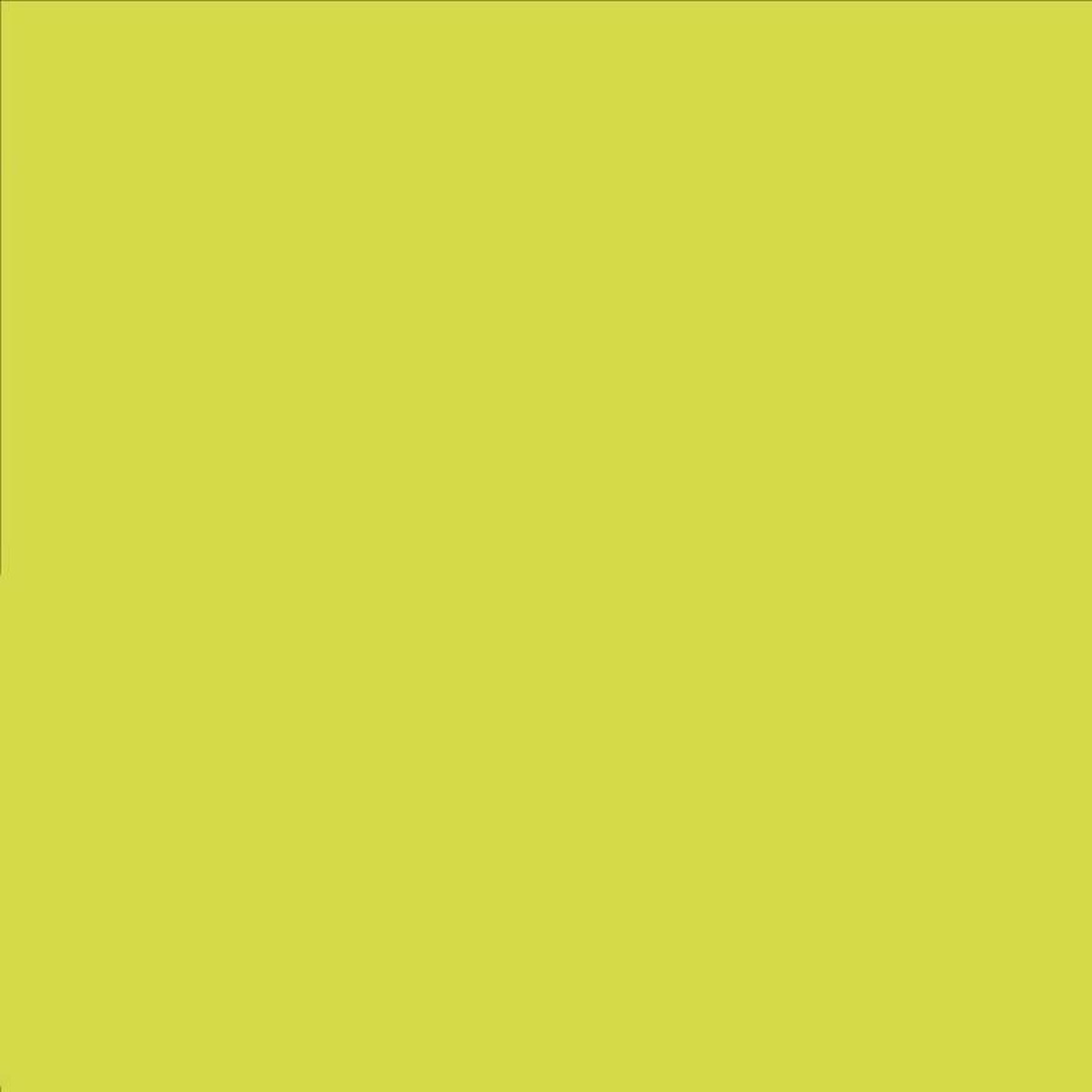 Rust-Oleum Painter's Touch 2X Ultra Cover Gloss Key Lime Paint+Primer Spray Paint 12 oz